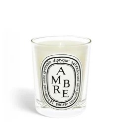 Best Diptyque Ambre (Amber) Classic Candle
