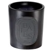 New Diptyque Baies Interior & Exterior Candle