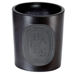 New Diptyque Baies Interior & Exterior Candle