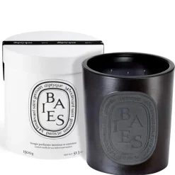 New Diptyque Baies Interior & Exterior Candle