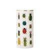 Best RIFLE PAPER CO. Beetles & Bugs Cylinder Vase