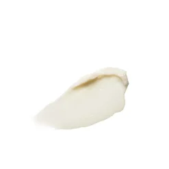 Online SARA HAPP The Dream Slip